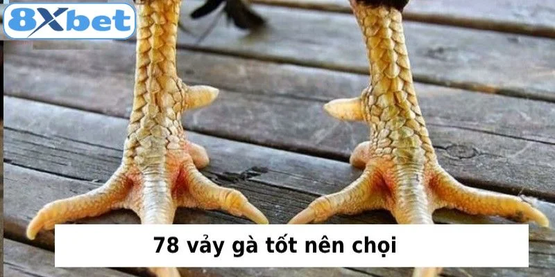 Một vài lưu ý cần biết khi kiểm tra vảy gà chọi cho hội viên