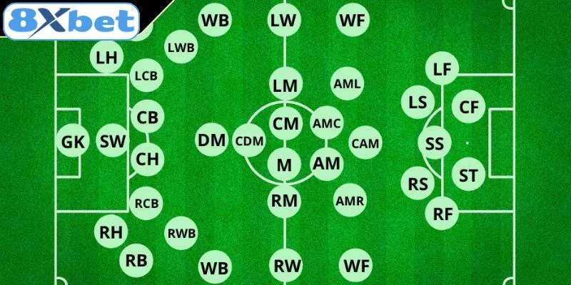 Vai trò, nhiệm vụ và tầm quan trọng của tiền vệ phòng ngự