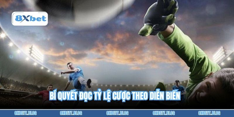 Bí quyết đọc tỷ lệ cược theo diễn biến