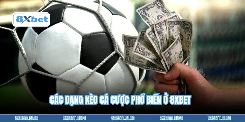 Các dạng kèo cá cược phổ biến ở 8xbet